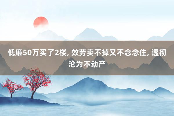 低廉50万买了2楼, 效劳卖不掉又不念念住, 透彻沦为不动产