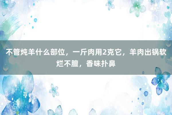 不管炖羊什么部位，一斤肉用2克它，羊肉出锅软烂不膻，香味扑鼻