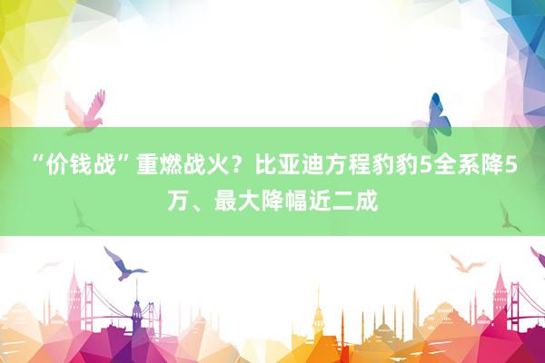 “价钱战”重燃战火？比亚迪方程豹豹5全系降5万、最大降幅近二成