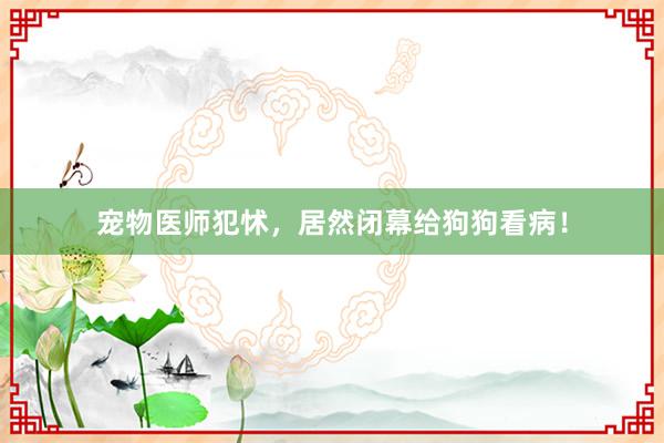 宠物医师犯怵，居然闭幕给狗狗看病！