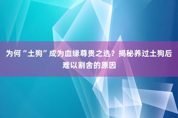 为何“土狗”成为血缘尊贵之选？揭秘养过土狗后难以割舍的原因