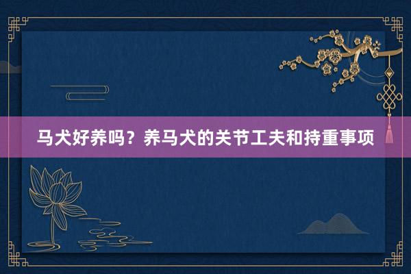 马犬好养吗？养马犬的关节工夫和持重事项