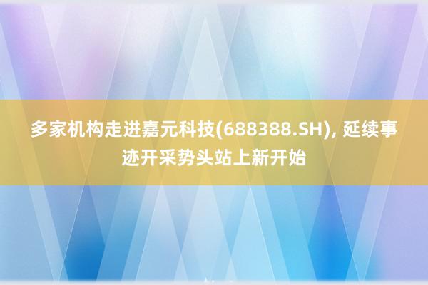 多家机构走进嘉元科技(688388.SH), 延续事迹开采势头站上新开始