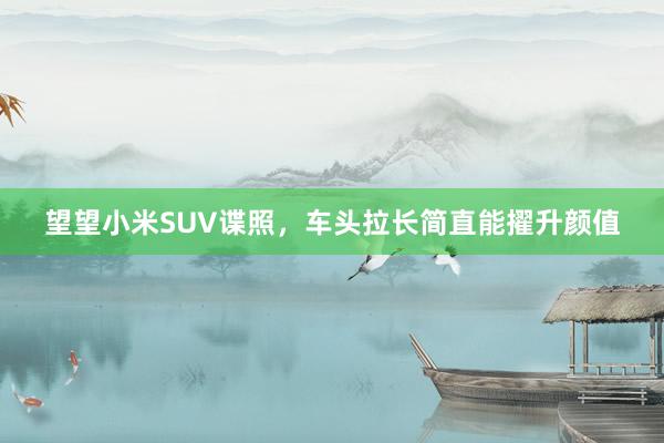 望望小米SUV谍照，车头拉长简直能擢升颜值